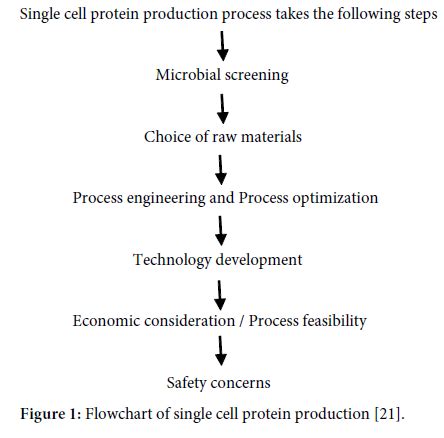 Avens Publishing Group - Single Cell Protein: A Resort to Global Protein Challenge and Waste ...