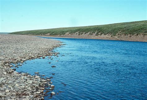 Colville River | ALASKA.ORG