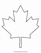Sugar Maple Tree Coloring Page sketch template