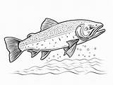 Exciting Lake Trout Coloring  Page sketch template