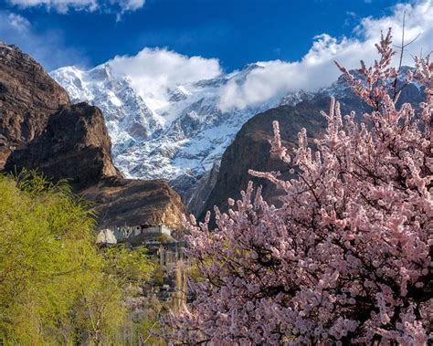 Hunza Spring Blossom Tour - Baltoro Adventures Pakistan