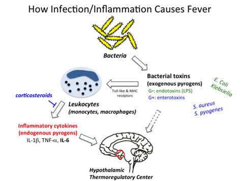 how_nsaids_work [TUSOM | Pharmwiki]