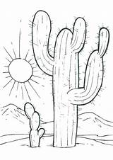 Desert Coloring Pages Printable At GetDrawings  Free download sketch template