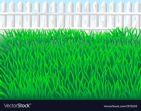 Garden grass Royalty Free Vector Image - VectorStock