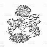 Sponges Anemones And Coralls On Sandstone Coloring Book Linear Drawing  sketch template