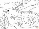 Collection Of Lizard Coloring Pages  Free Printable sketch template