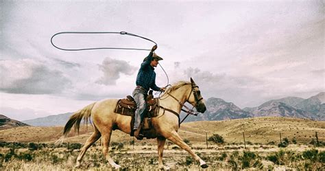 Lasso Cowboy Stock Photo - Download Image Now - iStock