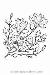 Free Printable Magnolia Coloring Pages For Kids sketch template