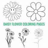 Gerber Daisy Coloring Pages sketch template