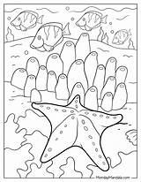 20 Starfish Coloring Pages Free PDF Printables sketch template