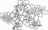 Free Printable Hawaiian Coloring Pages sketch template