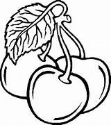 Ausmalbilder Frucht oder Obst Bild Drei Kirschen sketch template