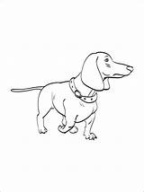 Winter Dachshund Coloring Page  Free Printable Pages For Kids sketch template
