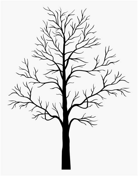 Transparent Leafless Tree Clipart - Transparent Background Tree ...