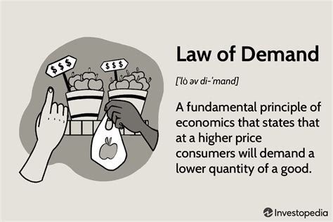 What Is the Law of Demand in Economics, and How Does It Work?