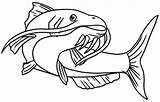 Beautiful Catfish Coloring Pages  Best Place To Color sketch template