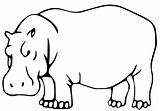 Simple Hippo Coloring Page  Free Printable Pages sketch template