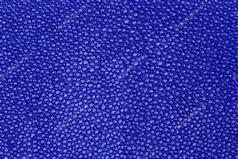 Blue texture leather shagreen Stock Photo by ©jedsadabodin 117565886