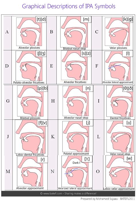 IPA International Phonetic Alphabet | English phonics, Speech language ...