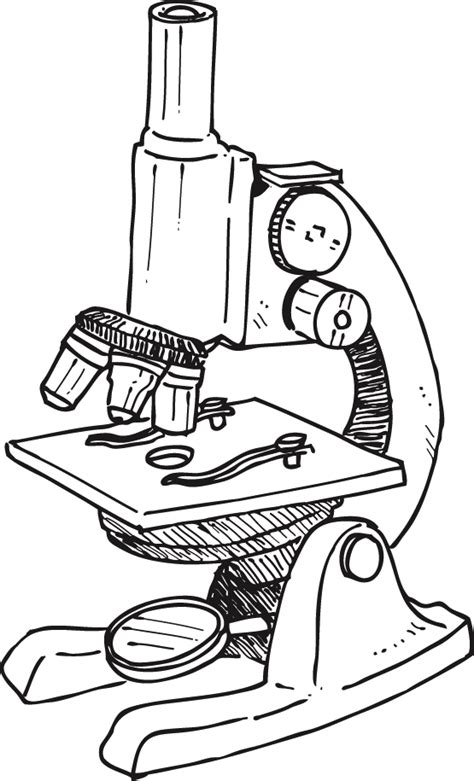 Microscope Parts Clipart