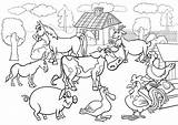 Farm Animal Coloring Pages At Webdemiblog Blog sketch template