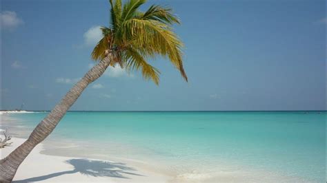 Best Beaches in Cuba. YOUR Top 10 best Cuba beaches - YouTube