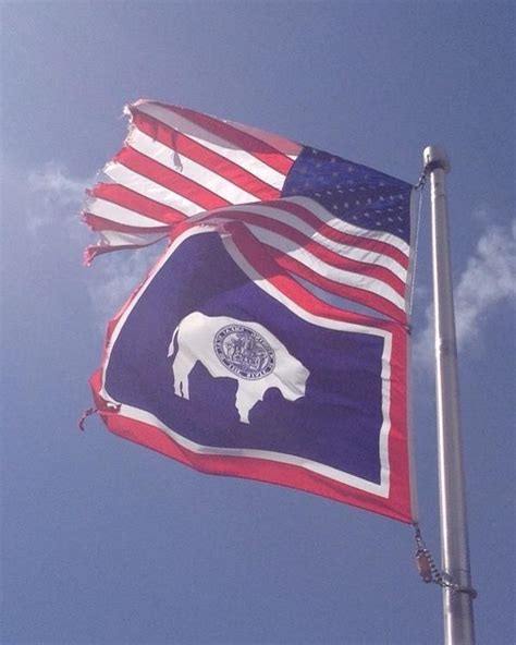 Wyoming State flag | Wyoming state, Flag, Wyoming