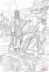 Parable Of The Wheat And Weeds coloring Page  Free Printable Coloring sketch template