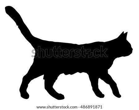 Walking Black Cat Silhouette Stock Vector (Royalty Free) 486891871 ...