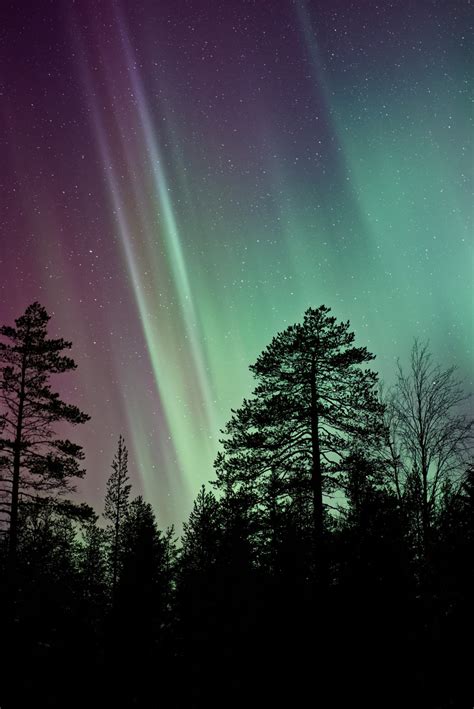 Free Images : silhouette, sky, atmosphere, northern light, aurora ...