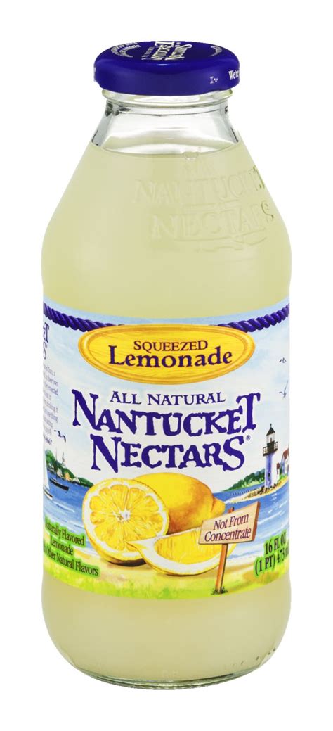 Buy Nantucket Nectars Lemonade, Squeezed - 16... Online | Mercato