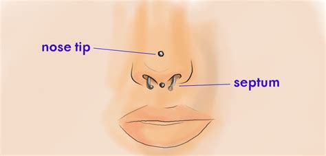 Ear and Nose Cartilage Piercings: Pain and Care - TatRing