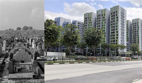 Estate Guide: How The Bidadari Estate Transformed From A Cemetery To A Green HDB Town