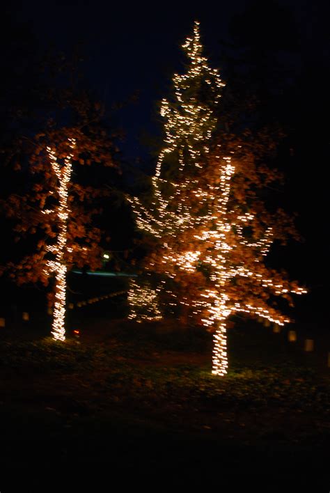 About Biltmore Forest | Town of Biltmore Forest, NC