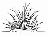 Coloring Grass Pages sketch template