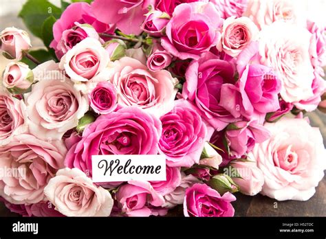 Welcome Card mit Strauß rosa Rosen Stockfotografie - Alamy