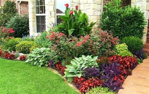 Front Yard Landscaping Houston Chic Front Lawn Plants Some Good Front Yard Plants Home Design ...