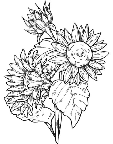 Awesome Sunflowers coloring page - Download, Print or Color Online for Free