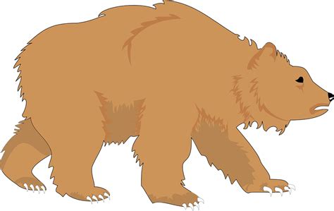 Download Brown, Nature, Bear. Royalty-Free Vector Graphic - Pixabay