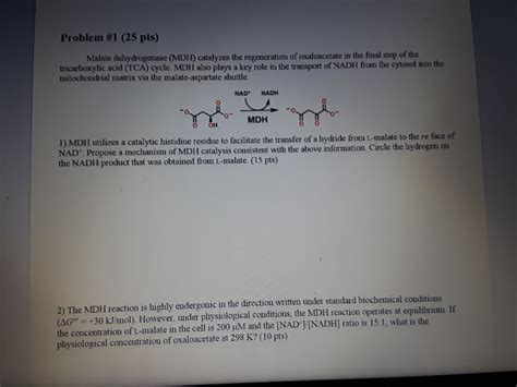 Solved Problem #1 (25 pts) Malate dehydrogenase (MDH) | Chegg.com