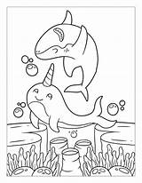 Free DOLPHIN Coloring Pages Your Kids Will Love Download Printable  sketch template
