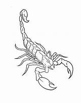 Scorpion Coloring Pages Free Printable PDF sketch template