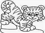 Tiger Coloring Baby Pages Cute Cubs Cub Drawing Clipart Lion Clipartmag  sketch template