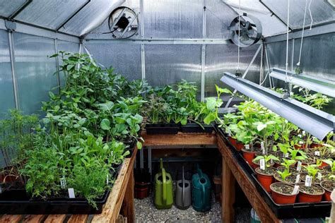 How to Heat a Greenhouse With Solar Panels?