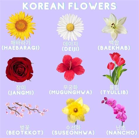 Flowers name list in english and urdu meanings with pictures – Artofit