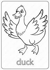 Printable Duck Coloring Pages sketch template