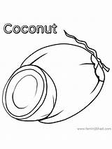 Coconut Coloring Page Printable sketch template