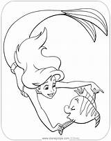 Ariel Flounder And Sebastian Coloring Pages Sketch Page sketch template