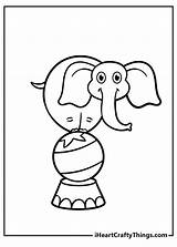 Circus Seal Coloring Page sketch template