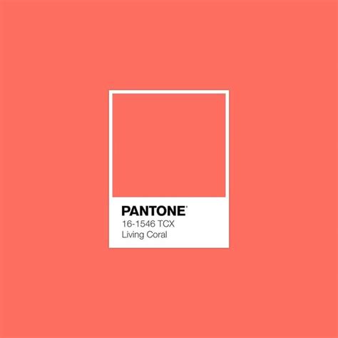 Cor Do Ano 2019 Press Kit Pantone Pantone Palette Pan - vrogue.co